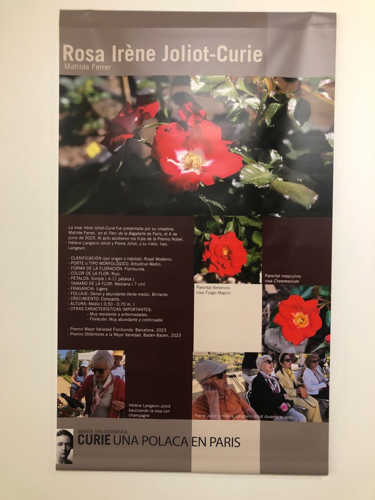Poster for the presentation of the Irene Joliot-Curie rose, with details about its creator Matilde Ferrer, characteristics of the rose, and photographs of the presentation ceremony.
