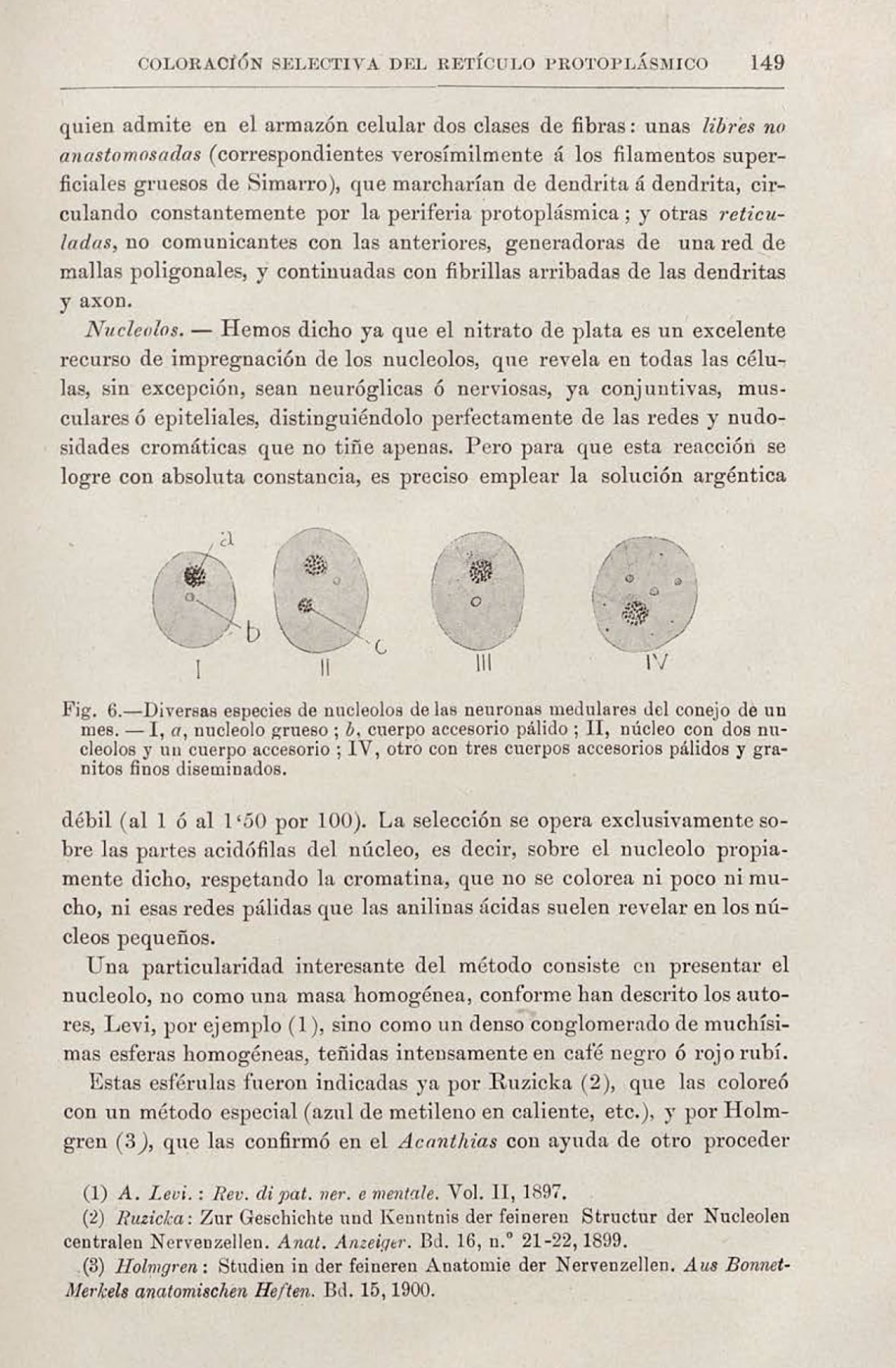 Page from an old article describing a method for staining the protoplasmic reticulum in neurons, with illustrations of different types of nucleoli and accessory bodies in cells. It includes explanatory text in Spanish about cell characteristics and the use of silver nitrate in microscopic observation.