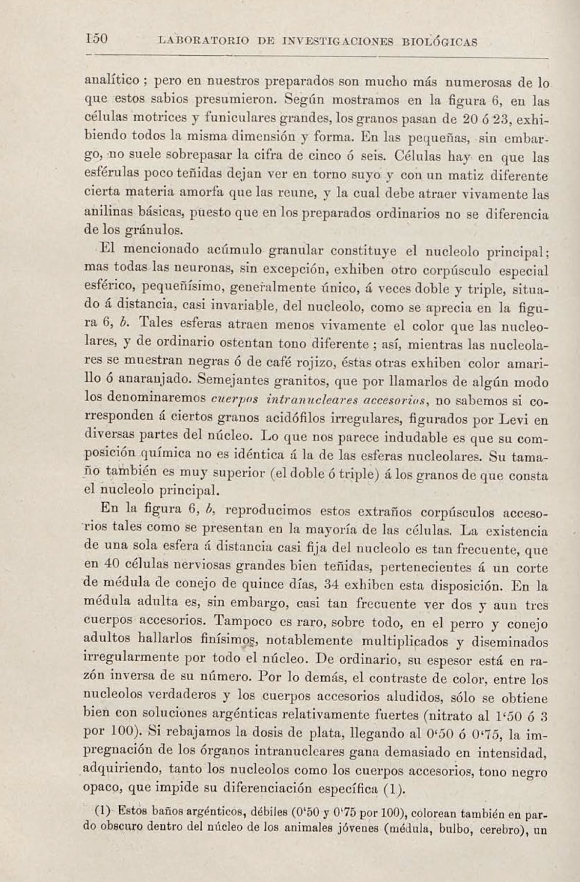 Page from the Laboratorio de Investigaciones Biologicas detailing a method for selective staining of the protoplasmic reticulum, describing the structure and characteristics of neurons and accessory intranuclear bodies.