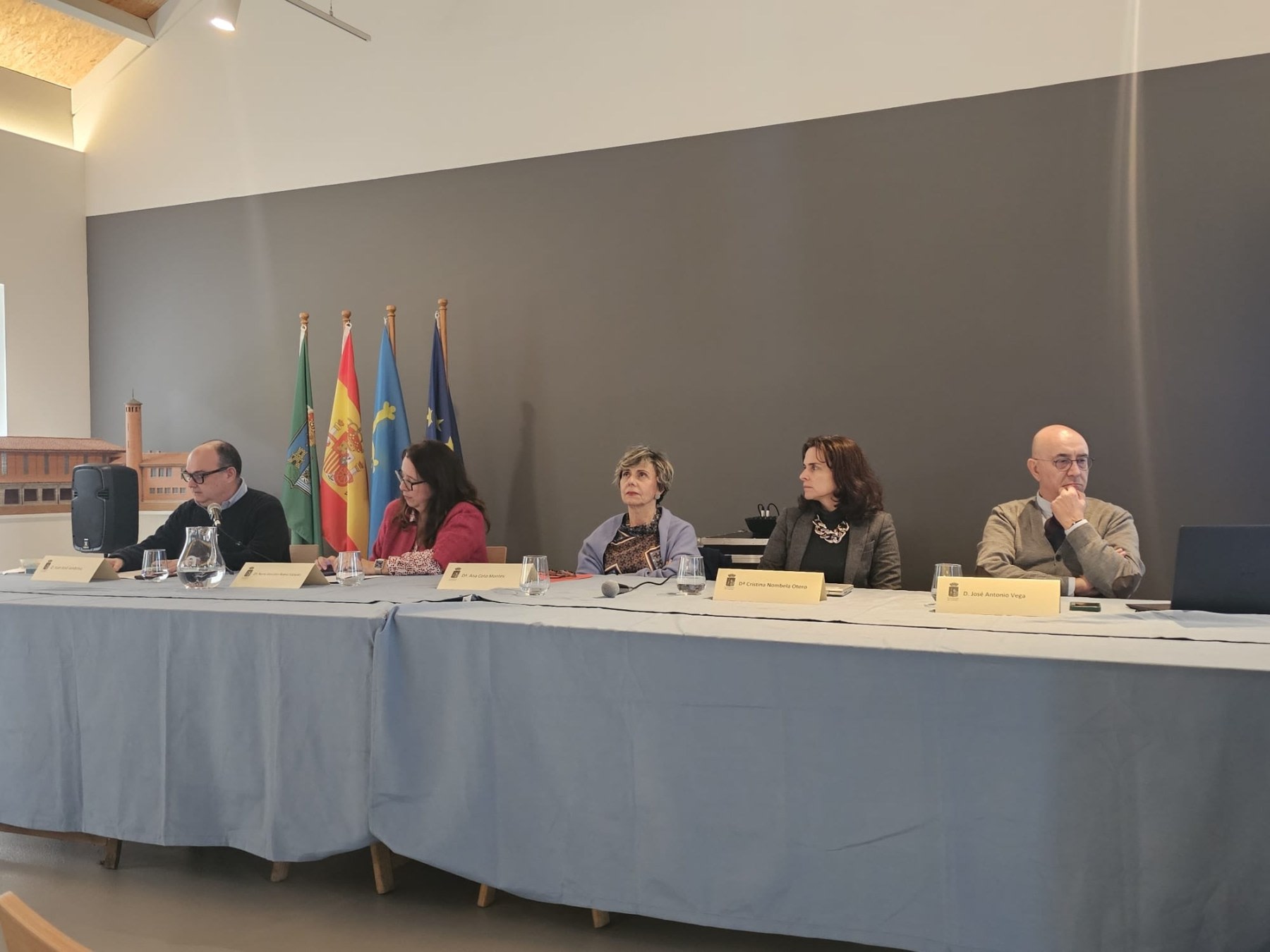 Conference table with four speakers and a moderator at an event on science and legacy at the Arnao Mine Museum, decorated with flags of Spain and Asturias.