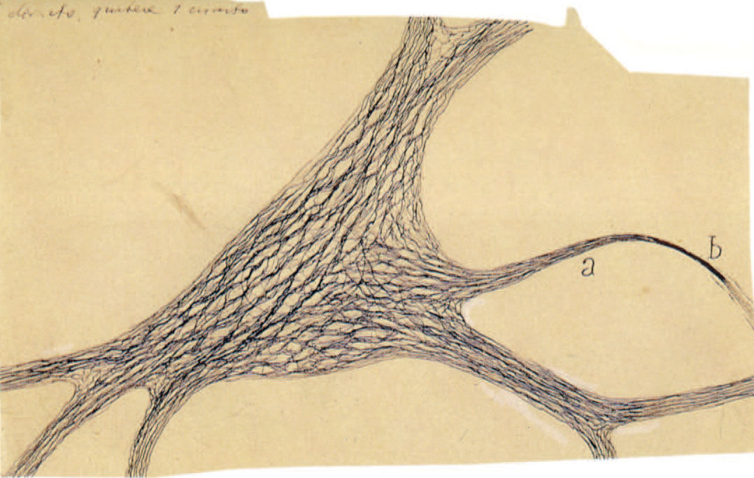 Ramón y Cajal y la neurociencia del siglo XXI