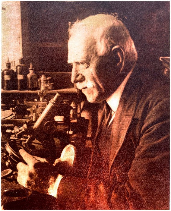 Domingo Sánchez y Sánchez. ABC no extraordinario 21 julio de 1929. Madrid.