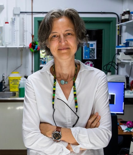 Cerebro, Espacio y Tiempo por Liset M. de la Prida