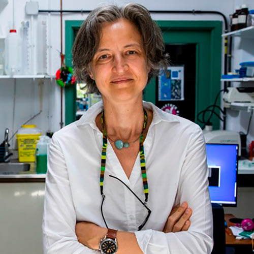 Liset Menéndez de la Prida