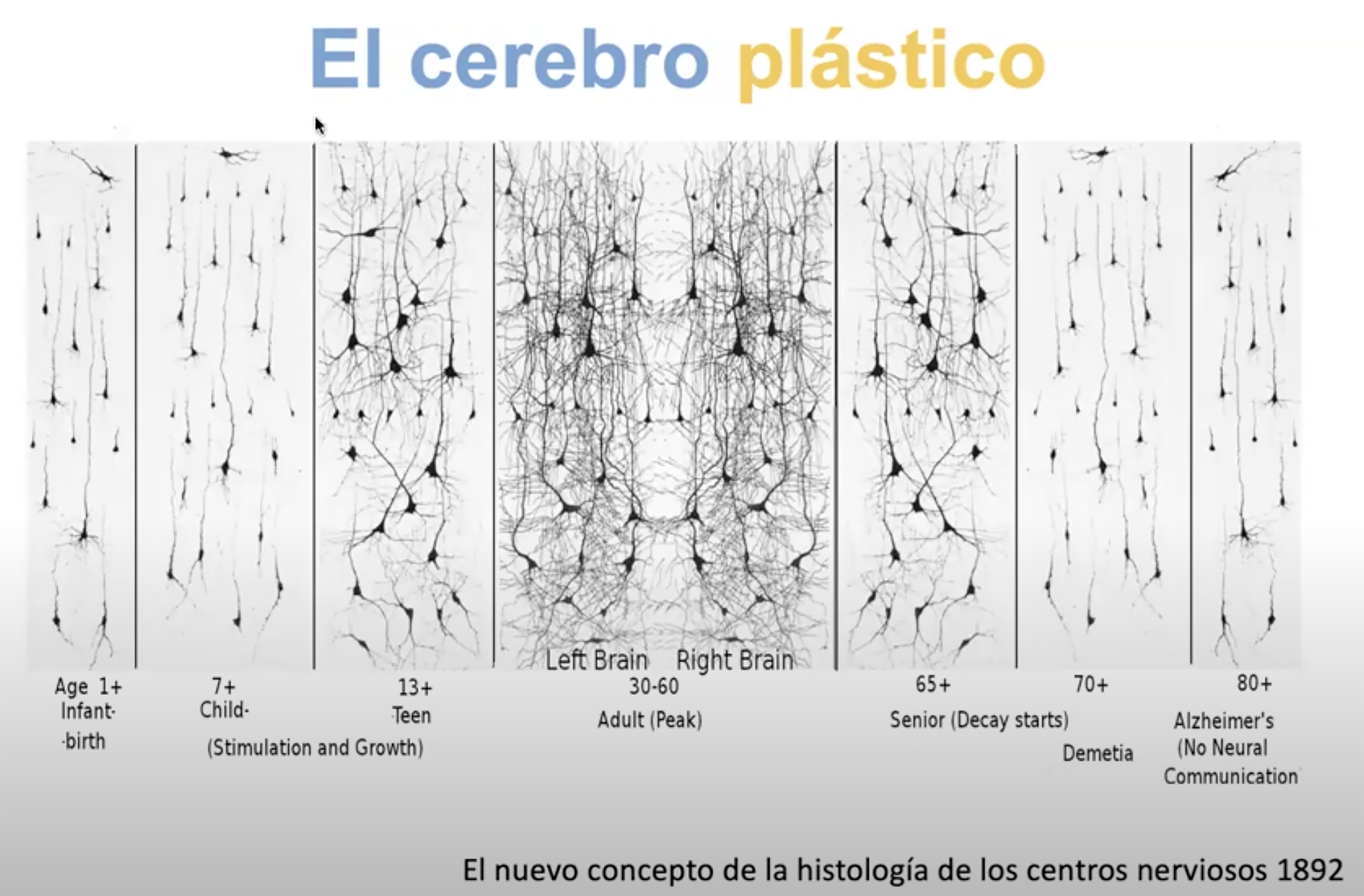 Cajal y los Recuerdos