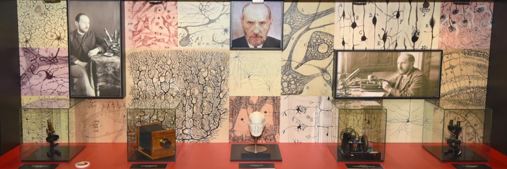 Santiago Ramón y Cajal. Museo Nacional de Ciencias Naturales