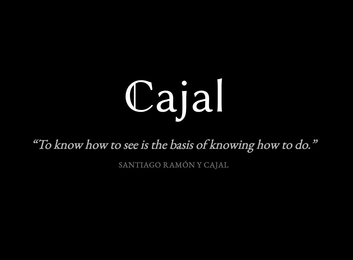 El nuevo cono de crecimiento: Cajal Technologies y la conquista de la verdad matemática