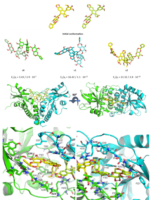 Modulación de la vía cGAS-STING en Oncología