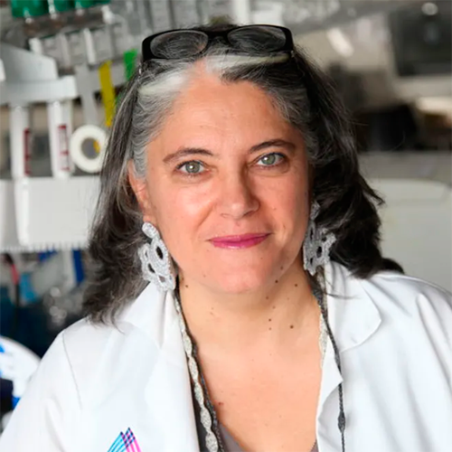 Ana Fernández Sesma