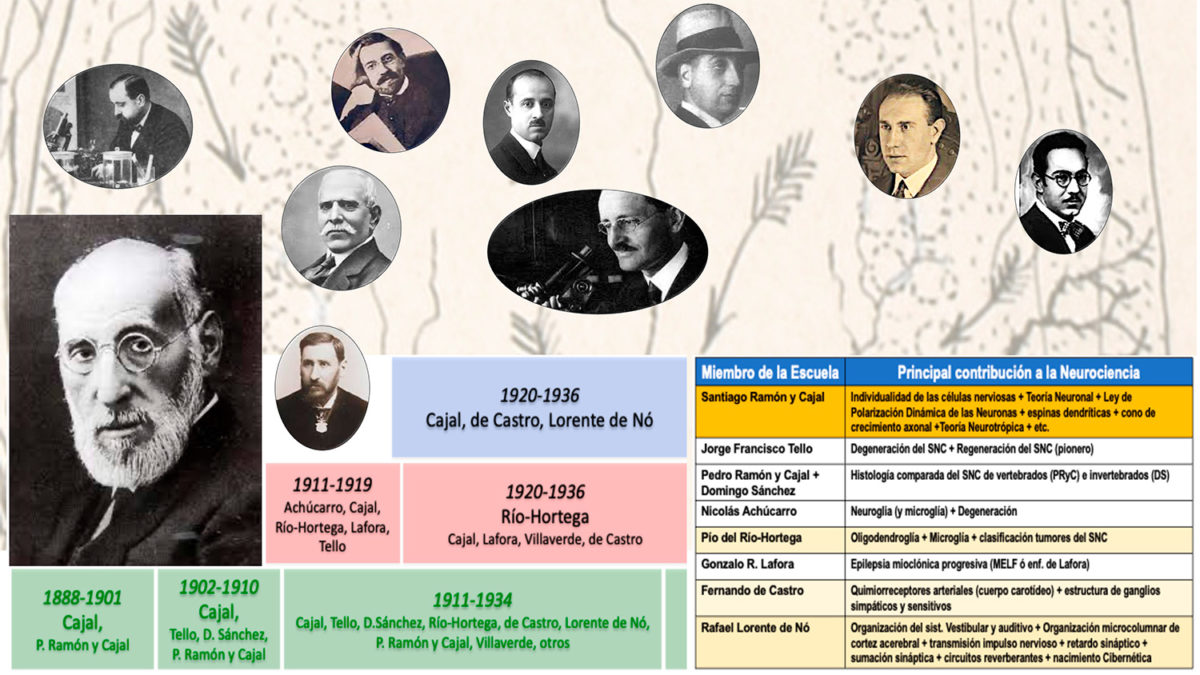 Cajal y la Escuela Neurológica Española