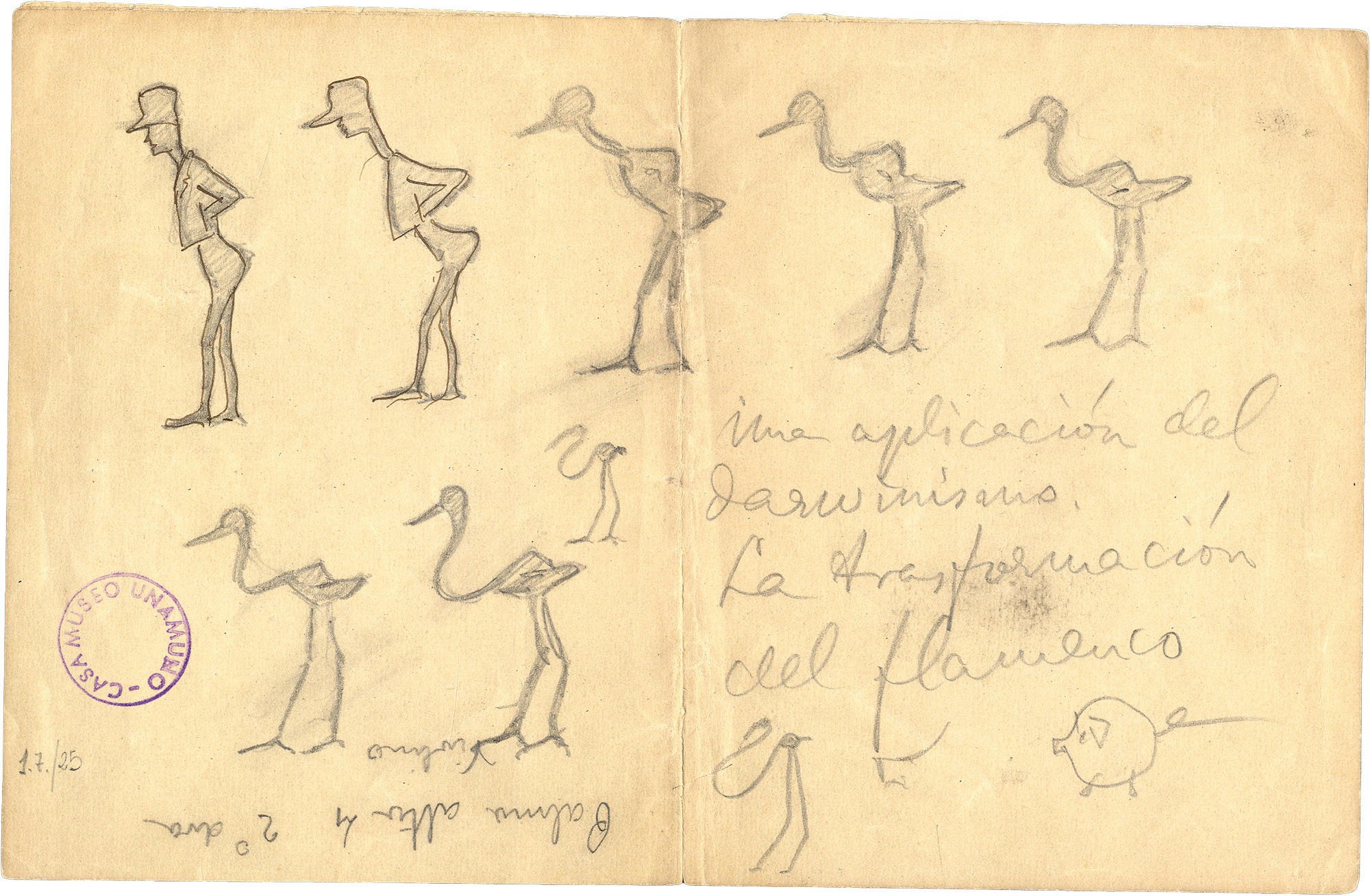 Explanatory panels on Unamuno's scientific connections