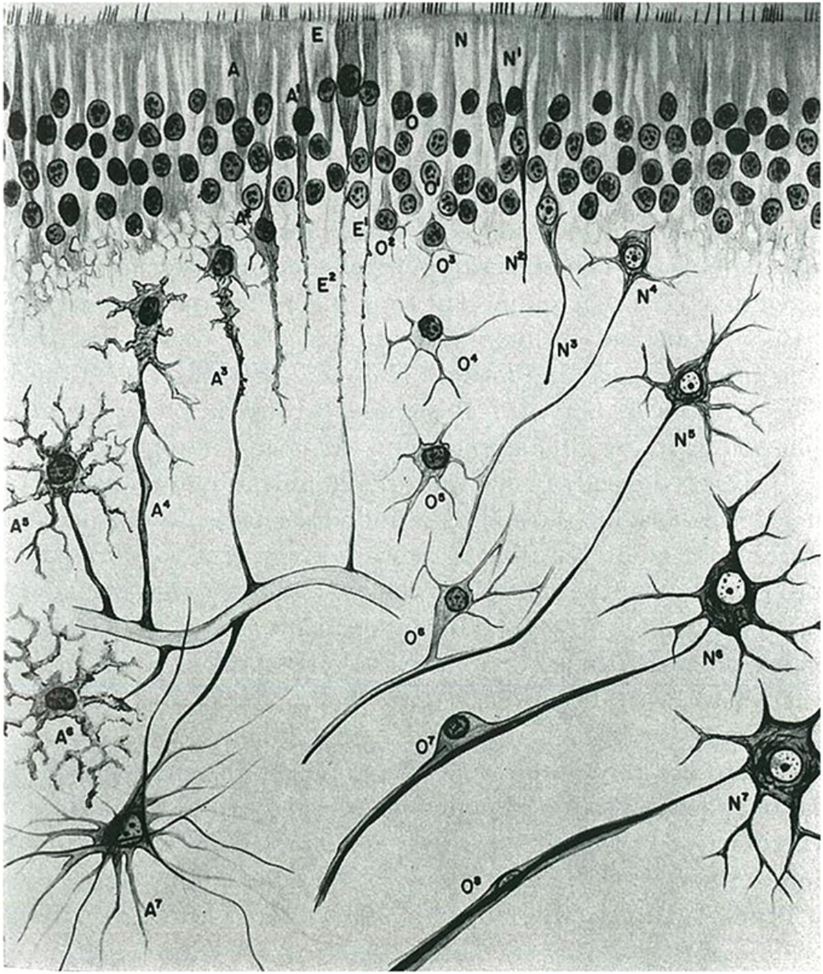 Oncología de precisión en glioblastoma