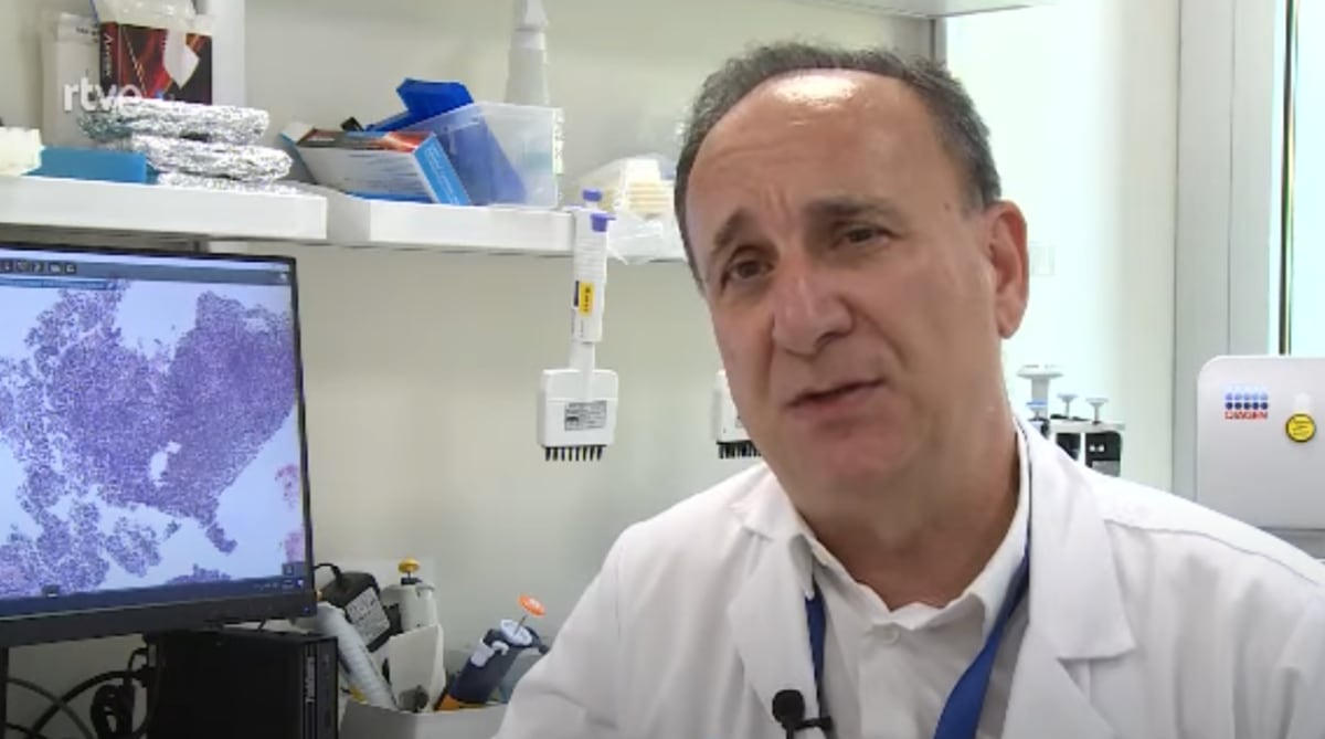 El Eco de Cajal en el Microscopio