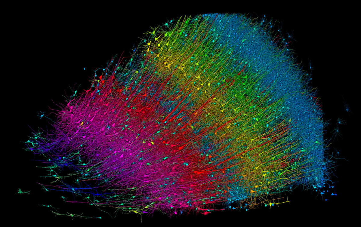 El universo en un grano de arena