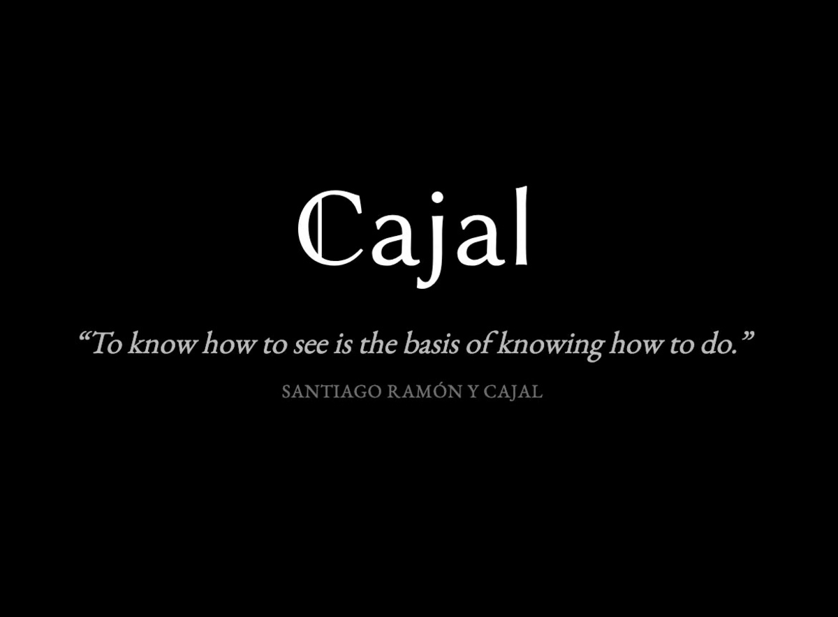 El nuevo cono de crecimiento: Cajal Technologies y la conquista de la verdad matemática