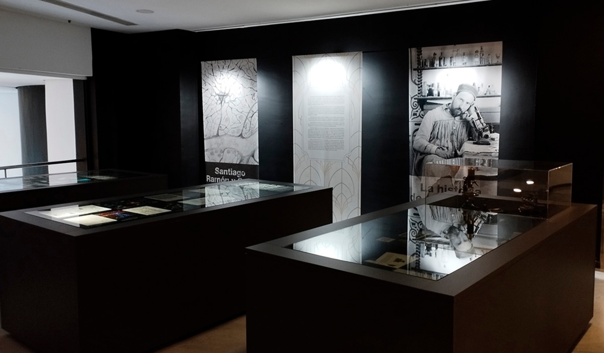 Santiago Ramón y Cajal: la historia de un polímata