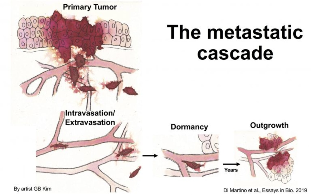 Rafael Yuste, 'The Brain, the Theater of the World'
